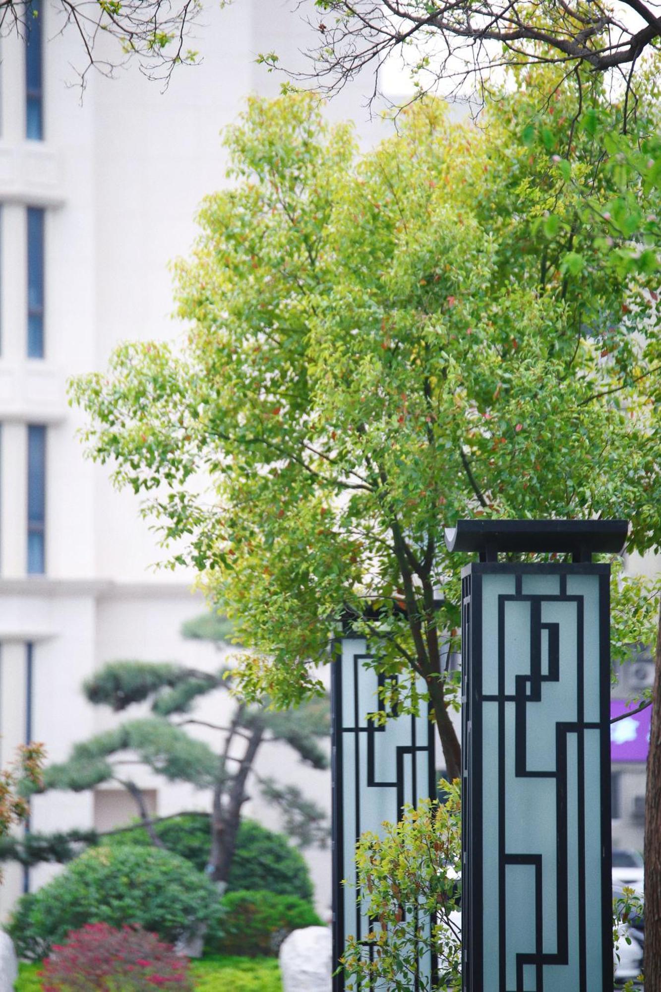 Holiday Inn Zhengzhou Zhongzhou By Ihg Ngoại thất bức ảnh